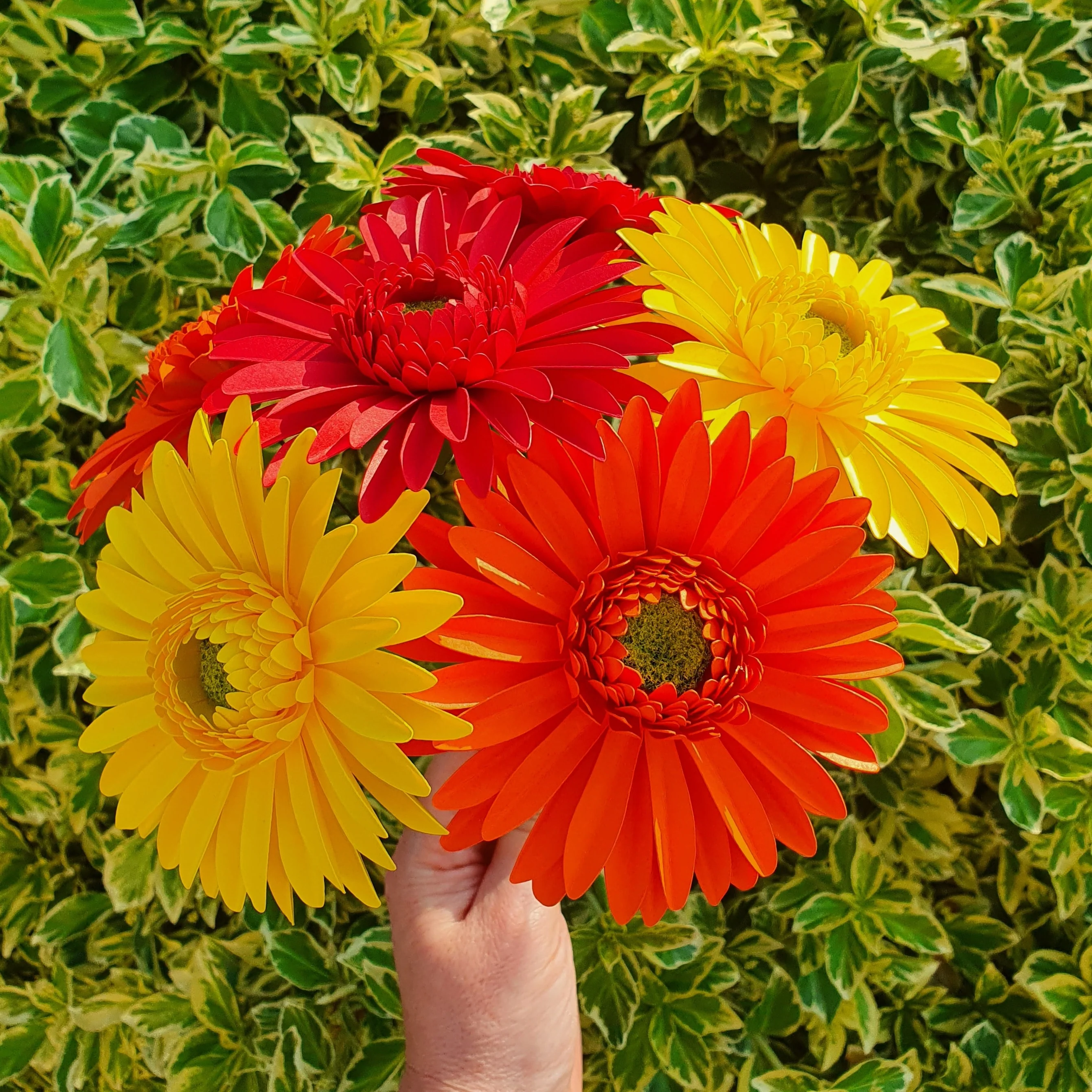 6 x Handmade Paper Gerbera Daisies - Image 9