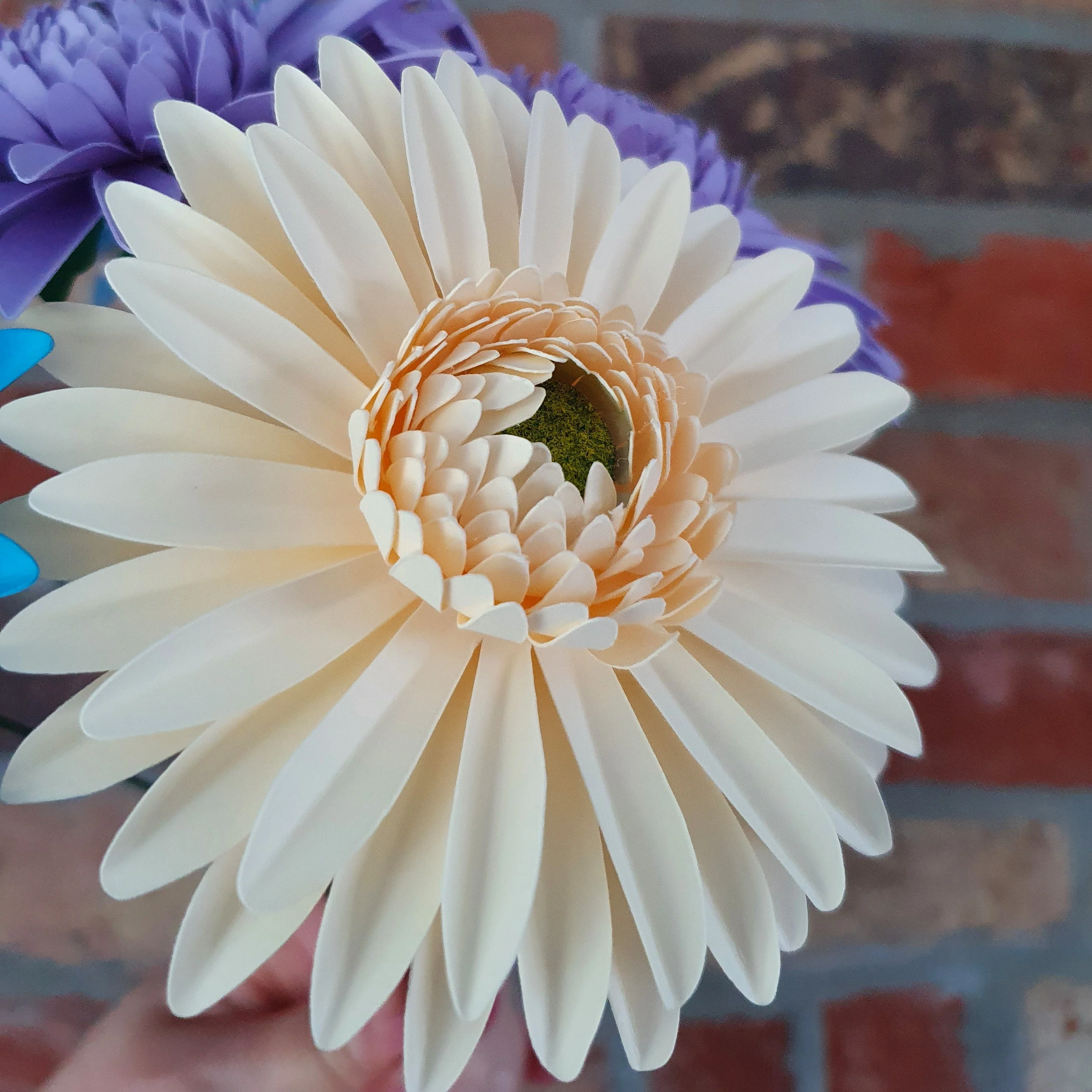 Cream Paper Gerbera Daisies - Image 6