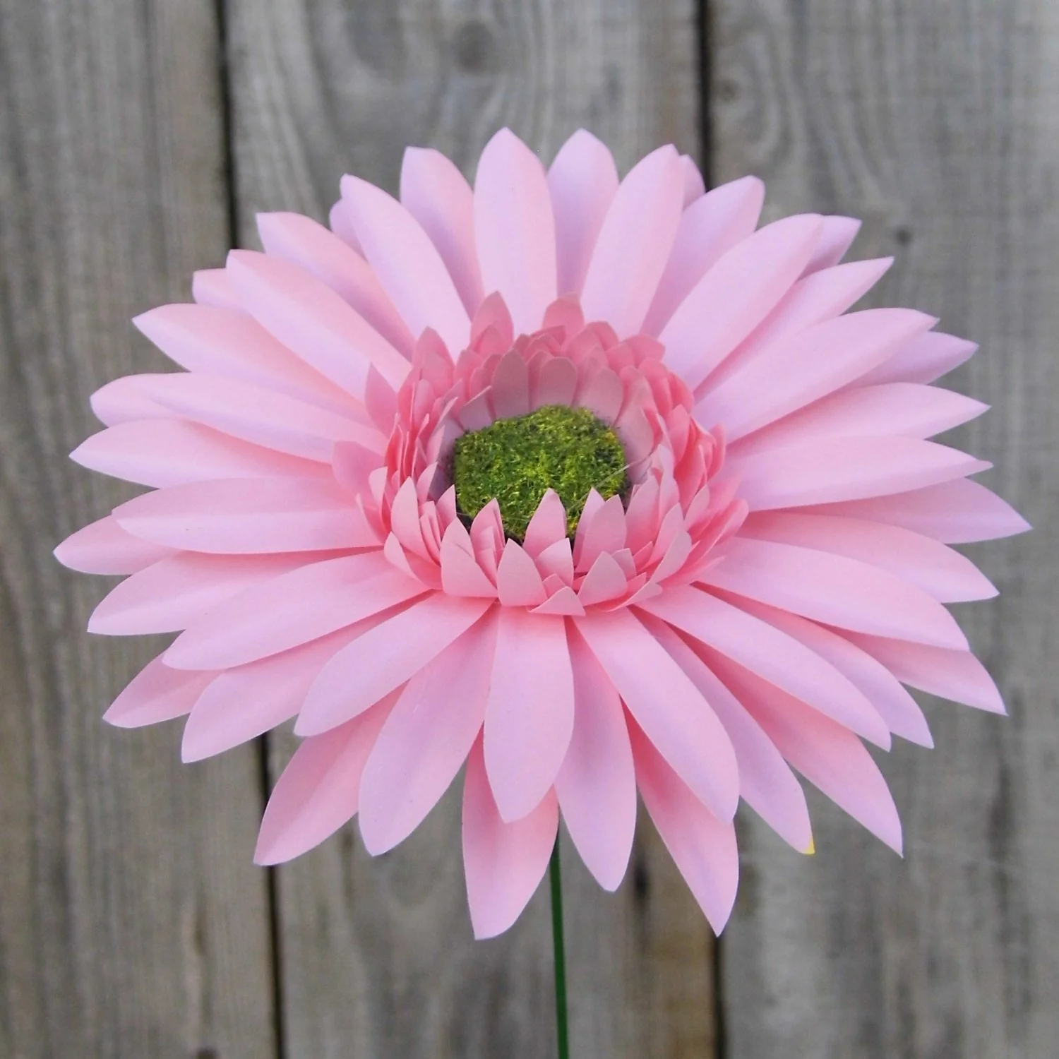 Gerbera Daisy - Handmade Paper Flower - Image 5
