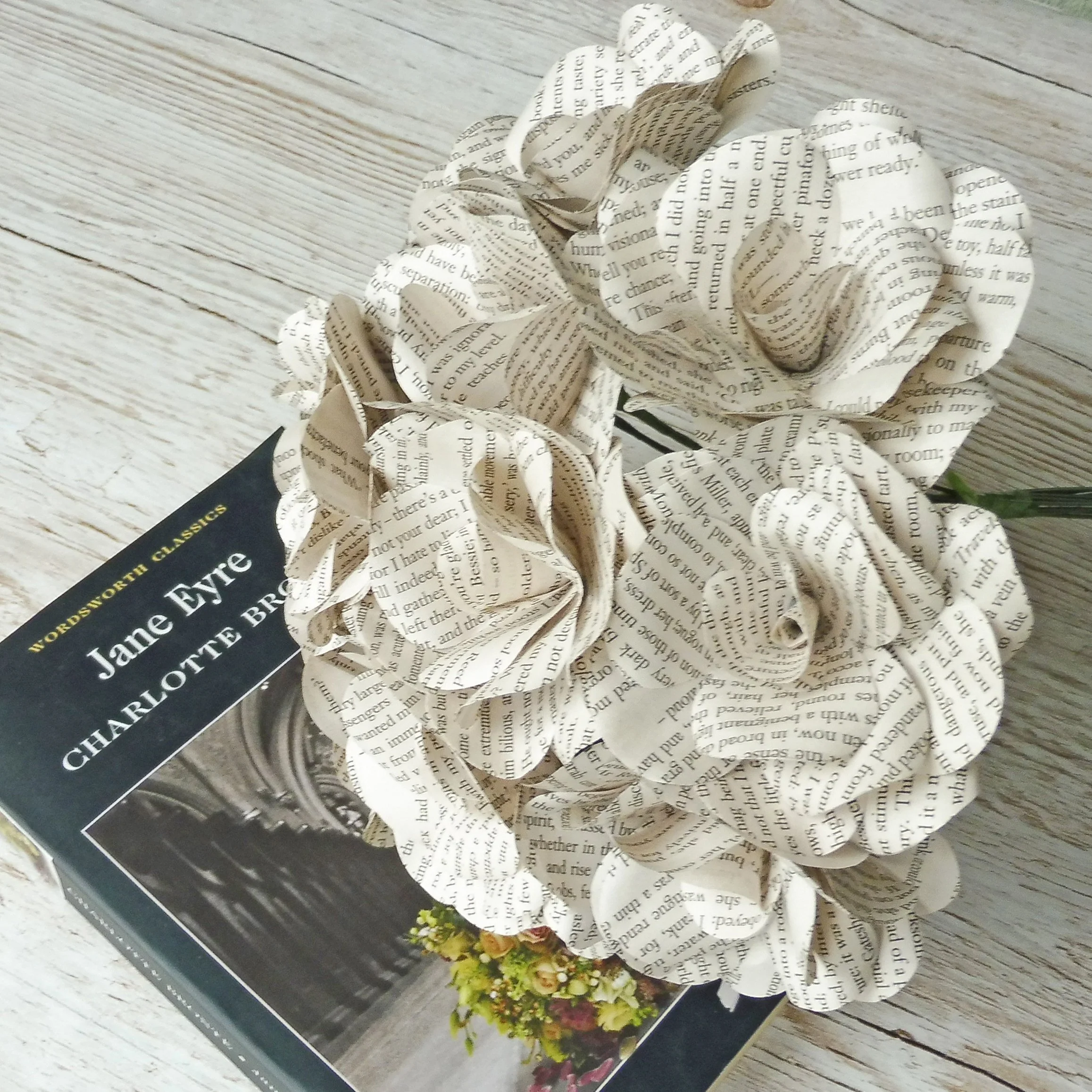 Jane Eyre Paper Flowers - Image 2