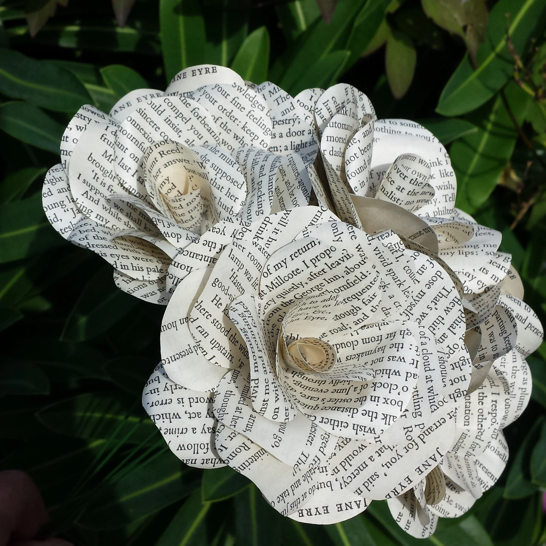 Jane Eyre Paper Flowers - Image 3
