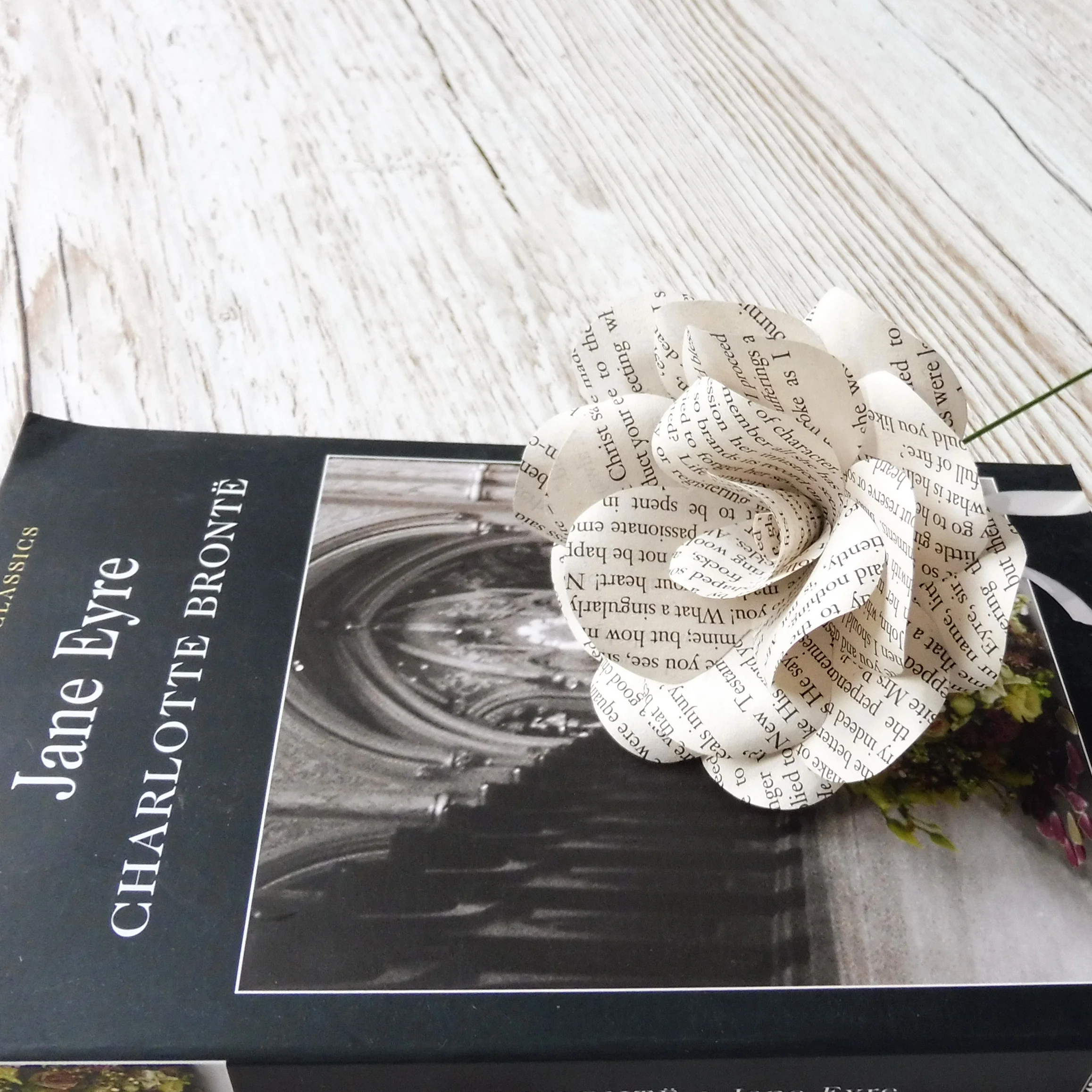 Jane Eyre Paper Flowers - Image 4