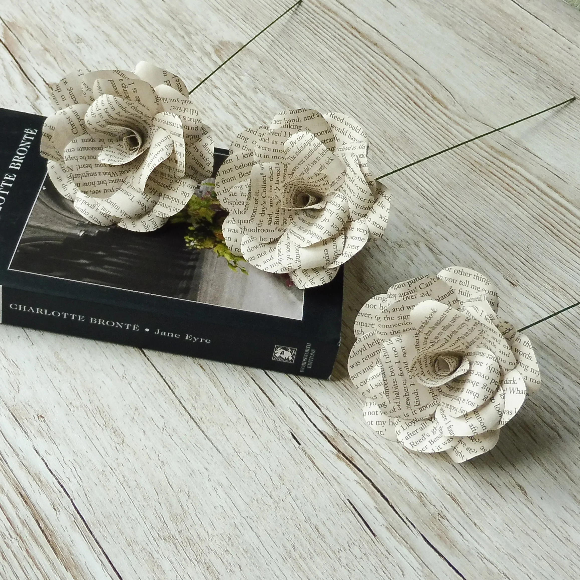 Jane Eyre Paper Flowers - Image 5
