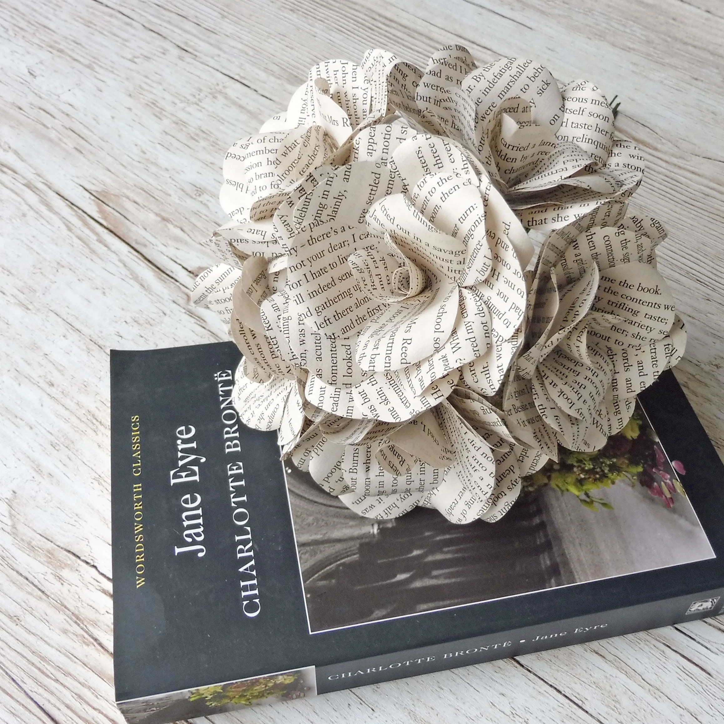 Jane Eyre Paper Flowers - Image 6