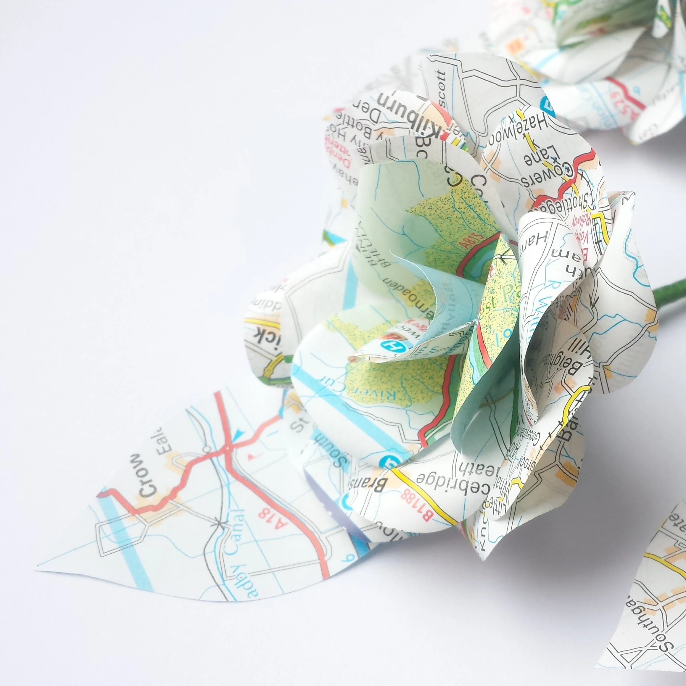 Map Buttonholes / Boutonnières - Image 3