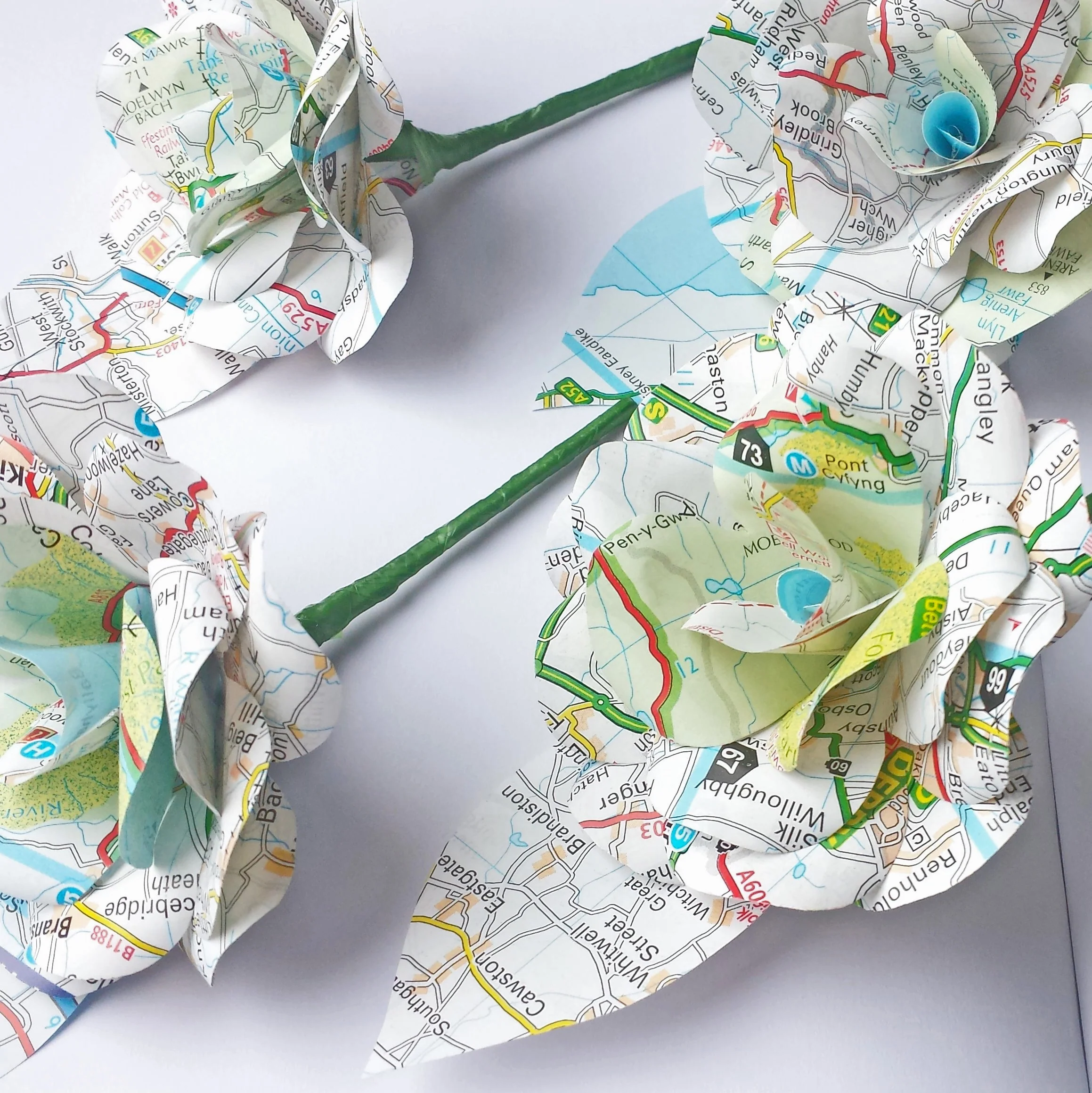 Map Buttonholes / Boutonnières - Image 5