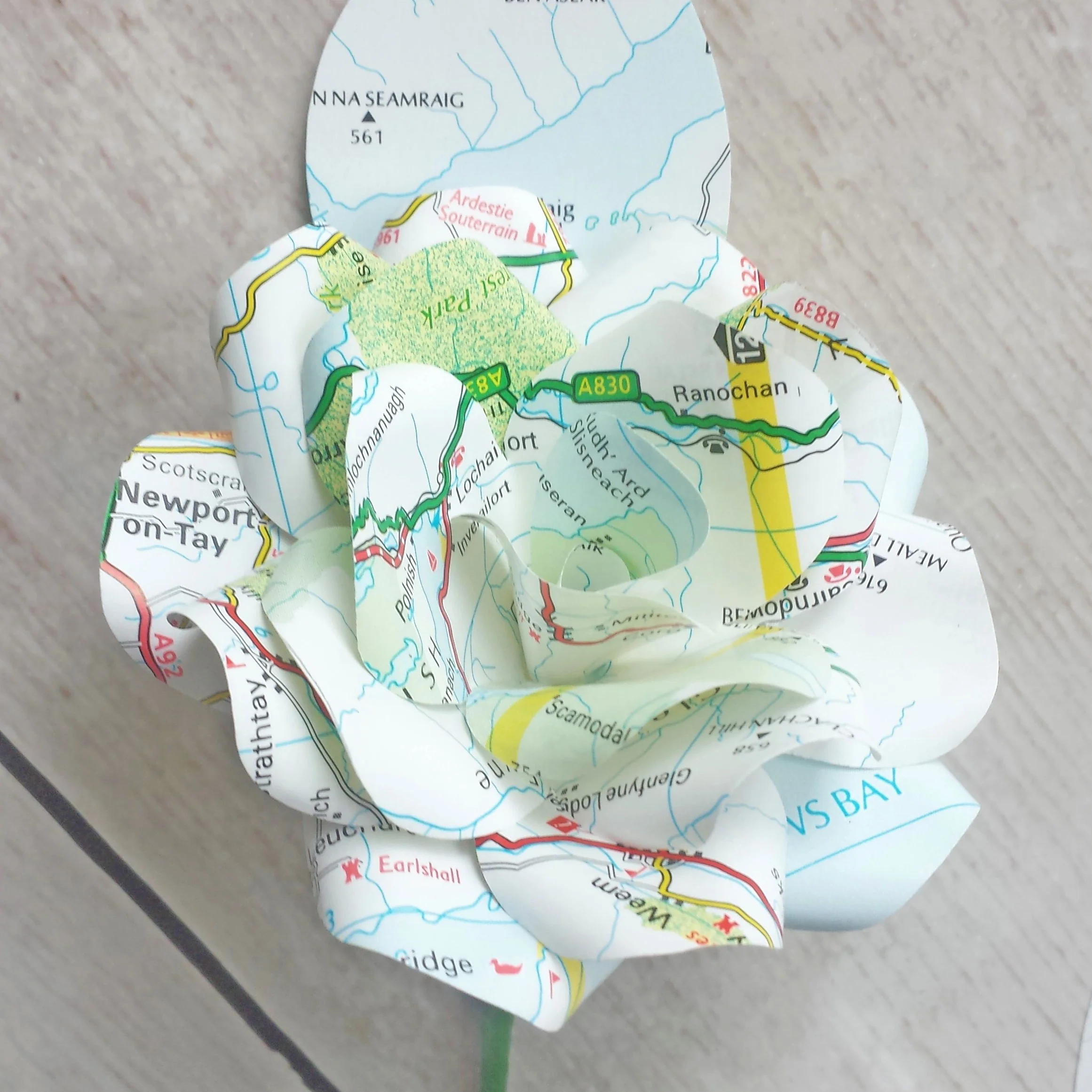 Map Buttonholes / Boutonnières - Image 6