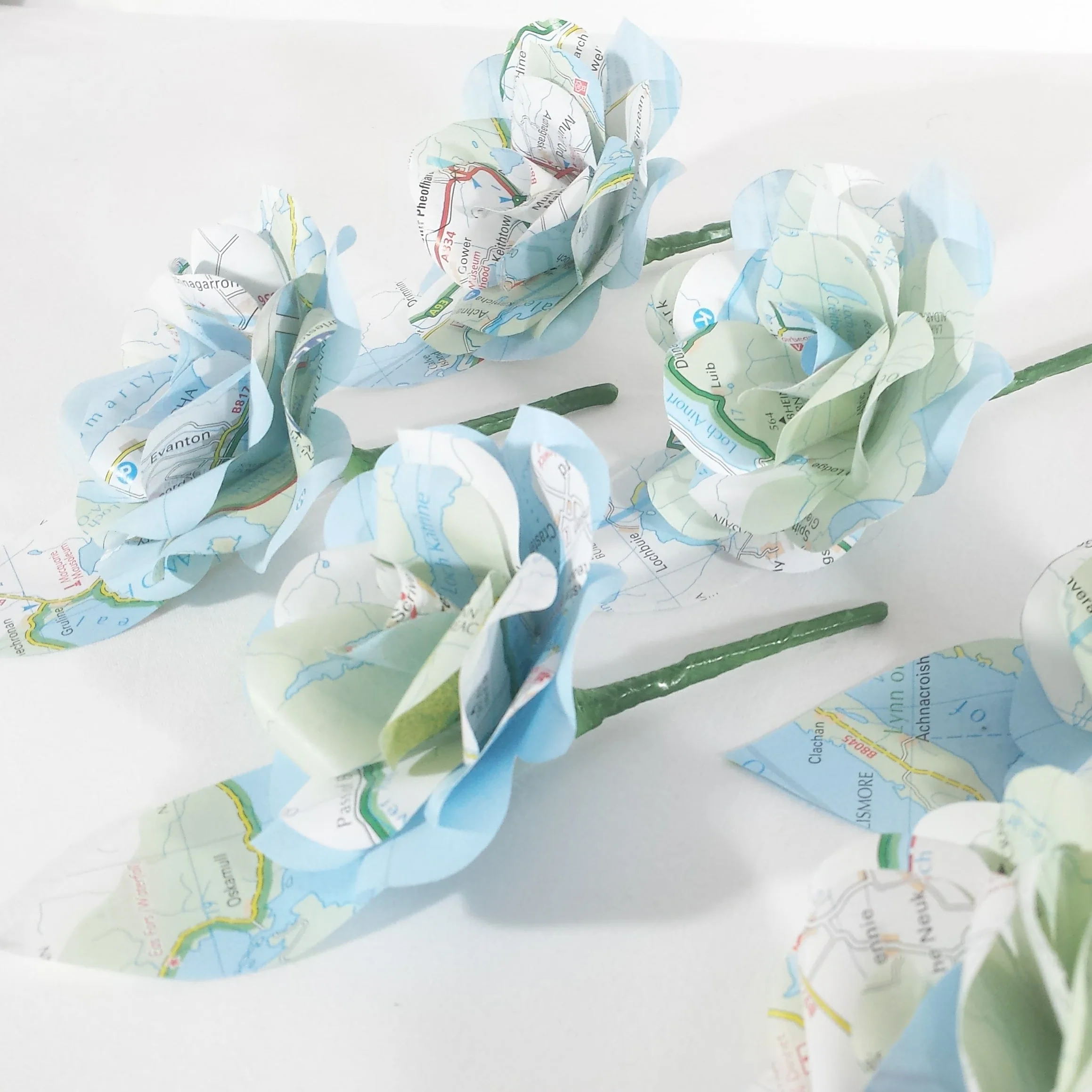 Map Buttonholes / Boutonnières - Image 7