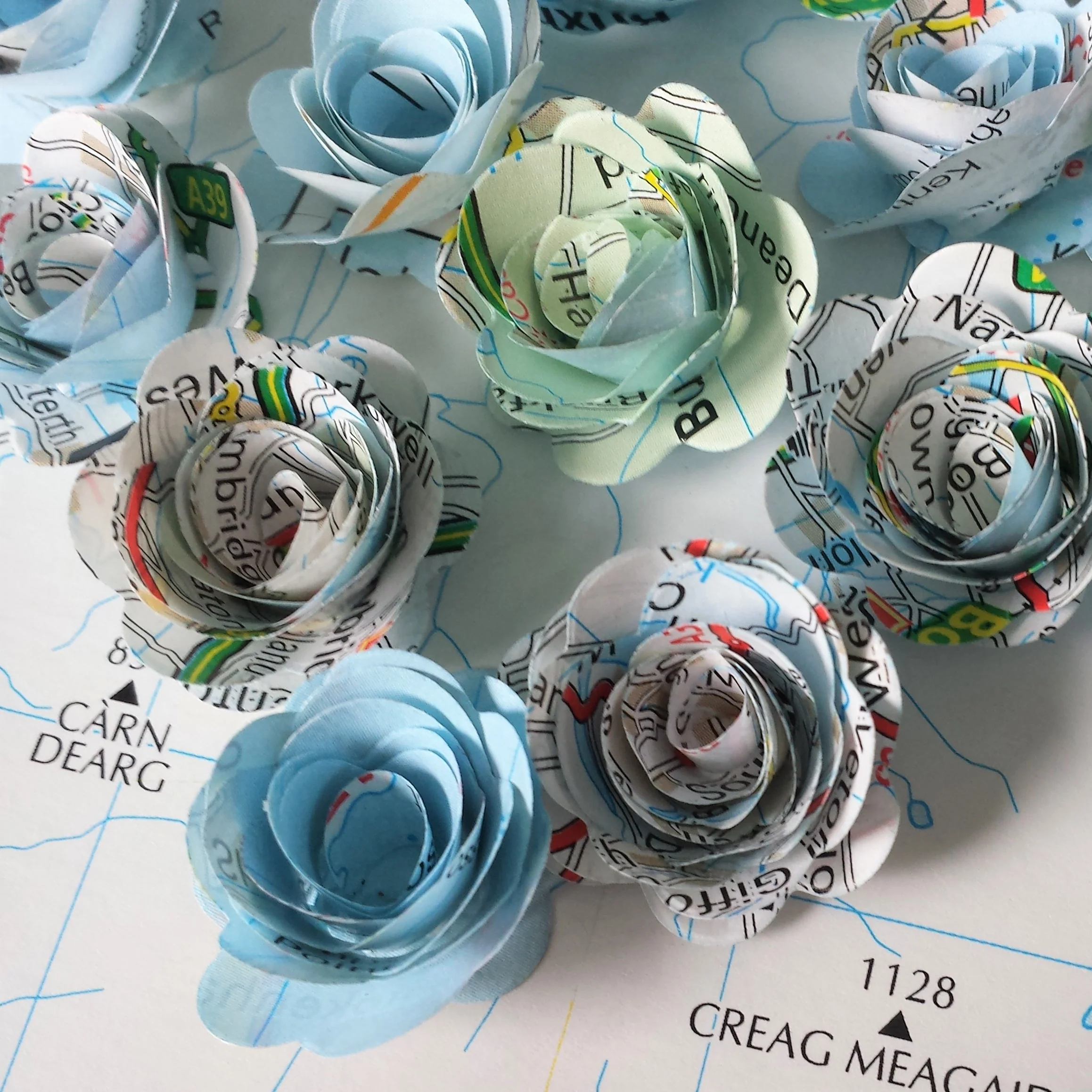 Map Paper Rolled Roses  x 25 - Image 3