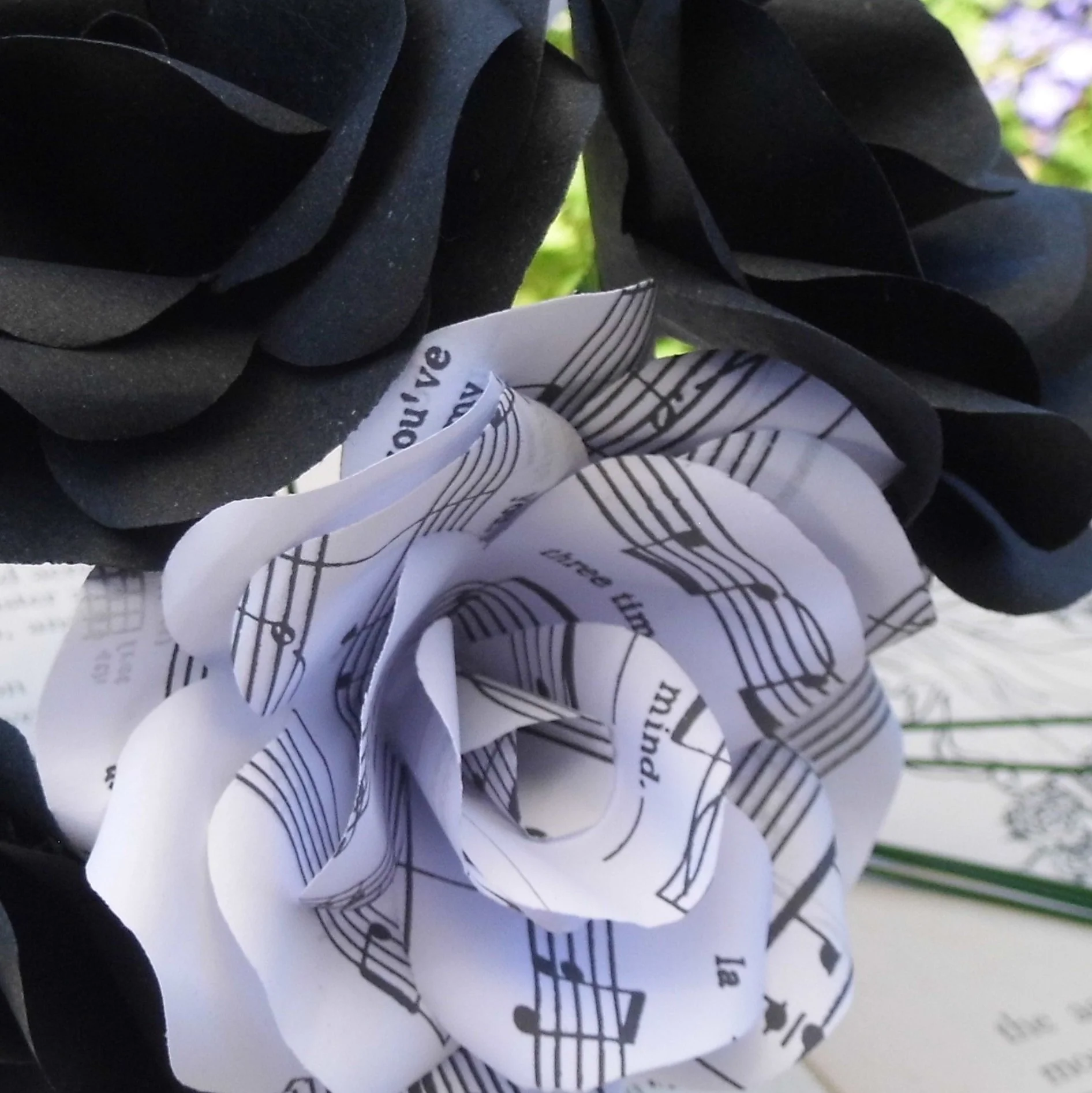 Sheet Music & Black Paper Roses - Image 3
