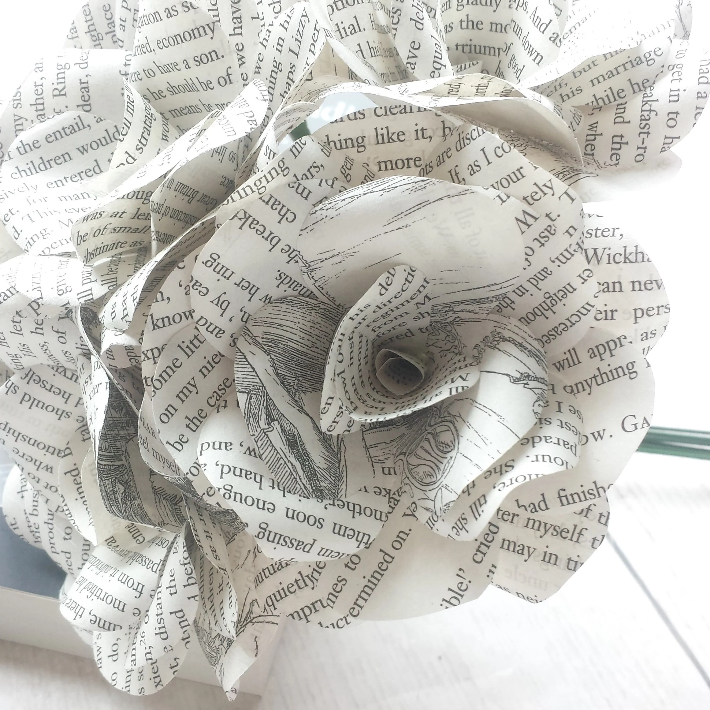 Pride and Prejudice Paper Flowers - Image 3