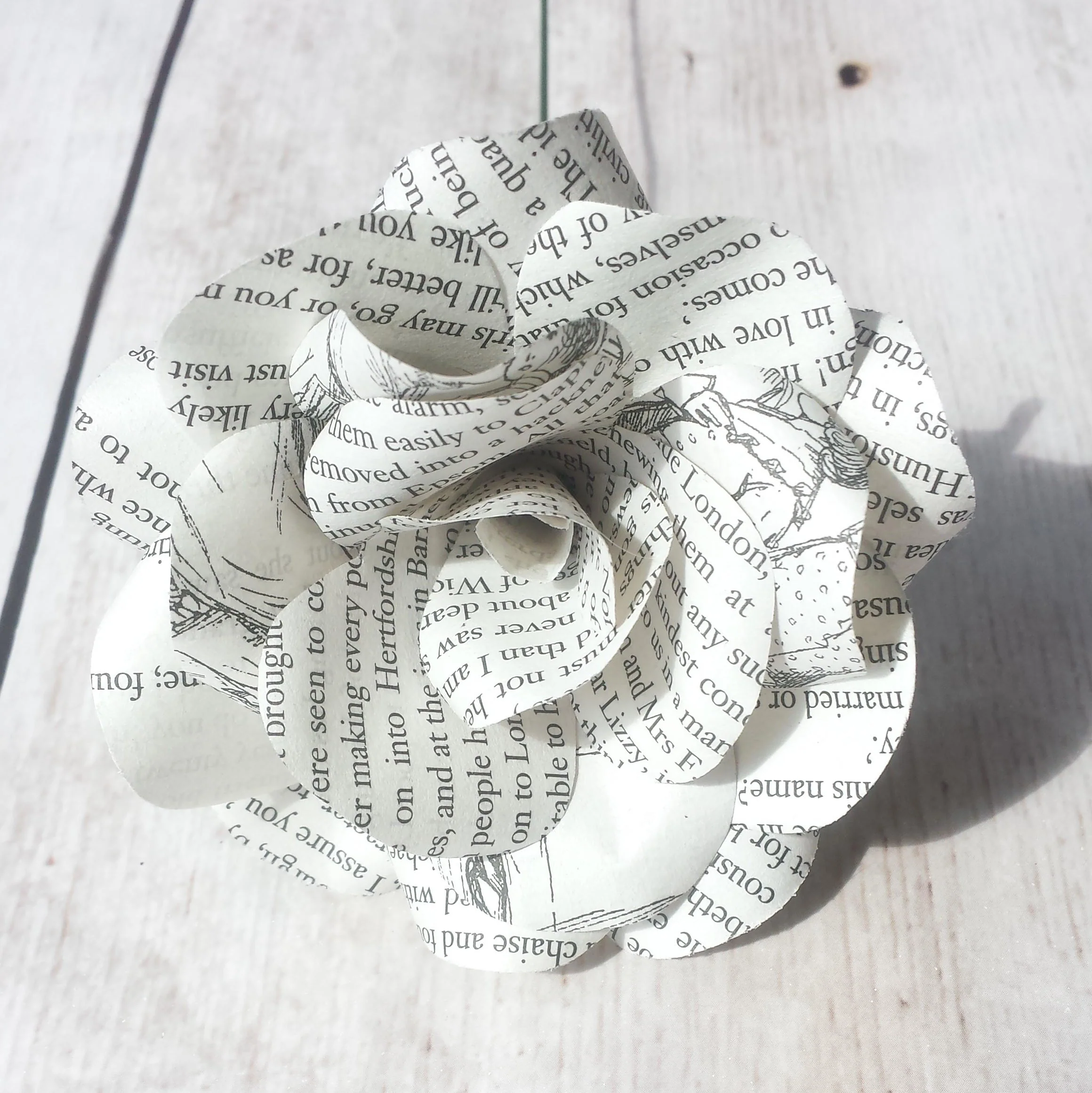 Pride and Prejudice Paper Flowers - Image 4