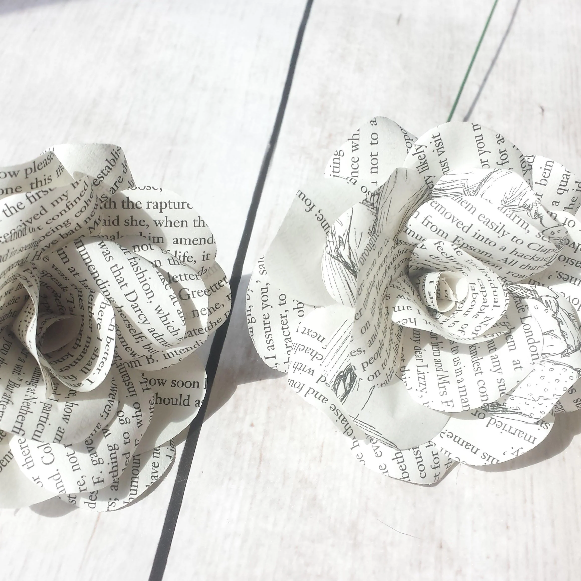 Pride and Prejudice Paper Flowers - Image 5