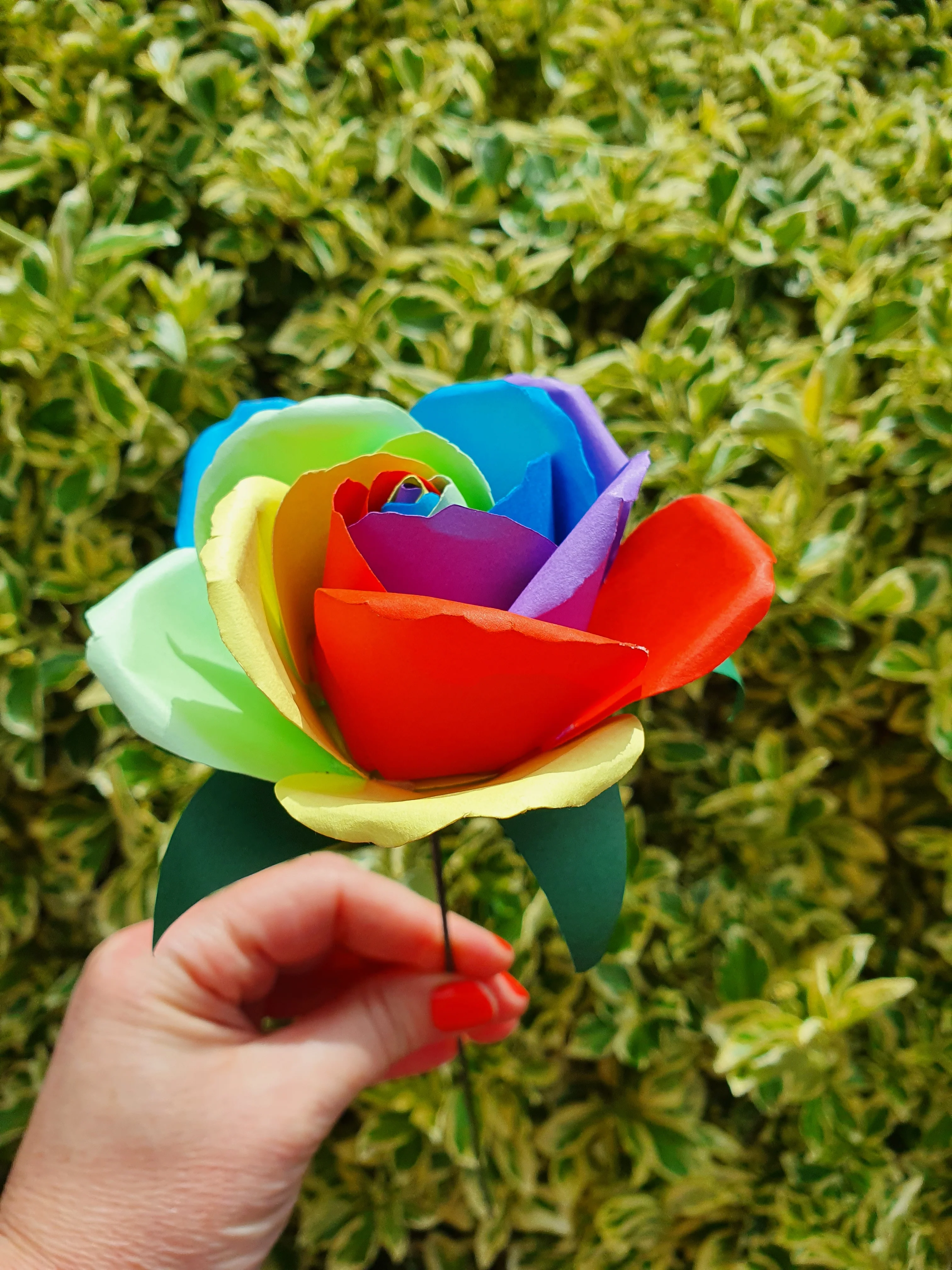 Rainbow Paper Rose - Image 3