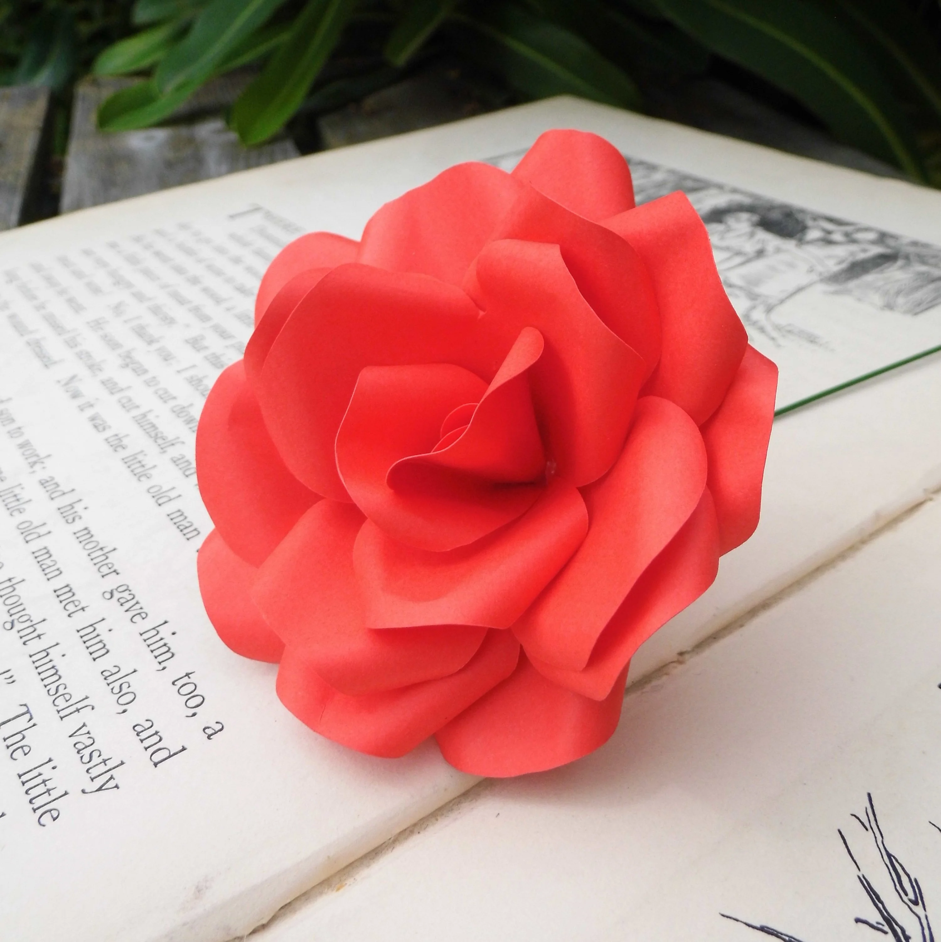 Red Paper Roses - Image 6