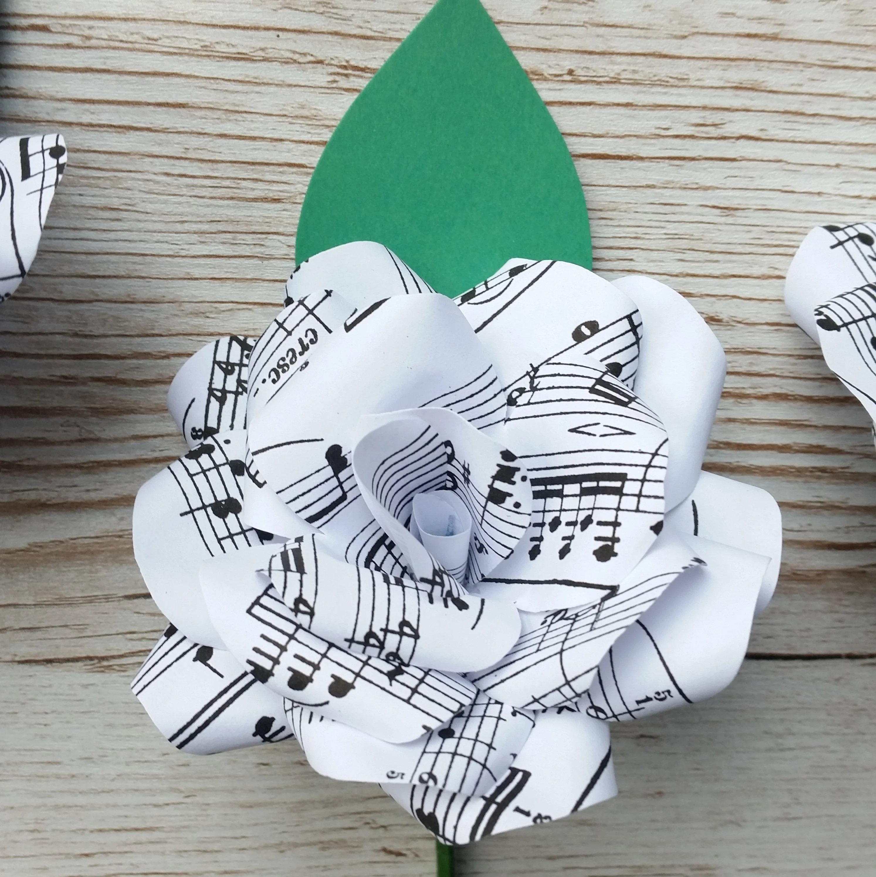 Sheet Music Paper Flower Buttonholes / Boutonnières - Image 6