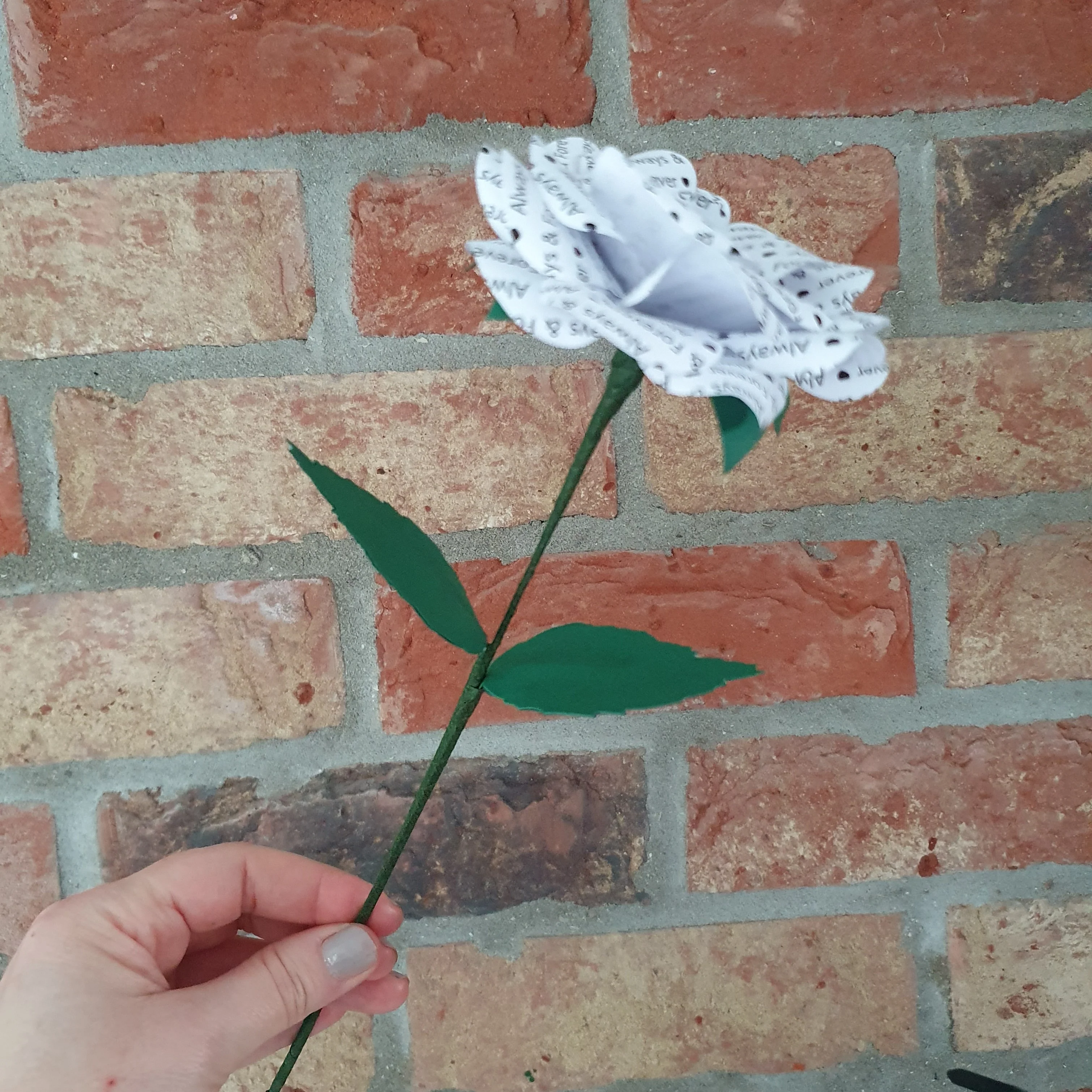 Single Personalised Message Paper Flowers - Image 8