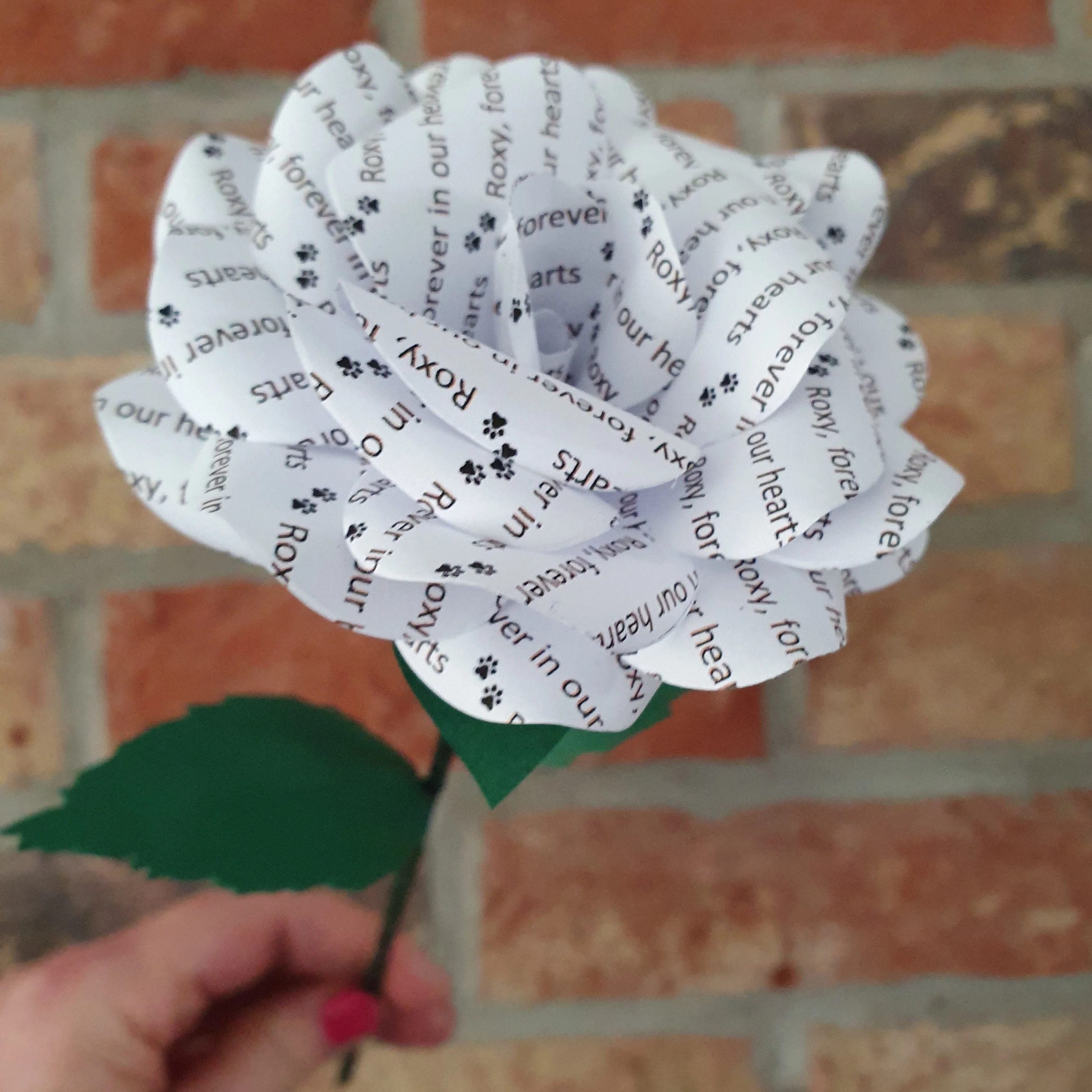 Single Personalised Message Paper Flowers - Image 9
