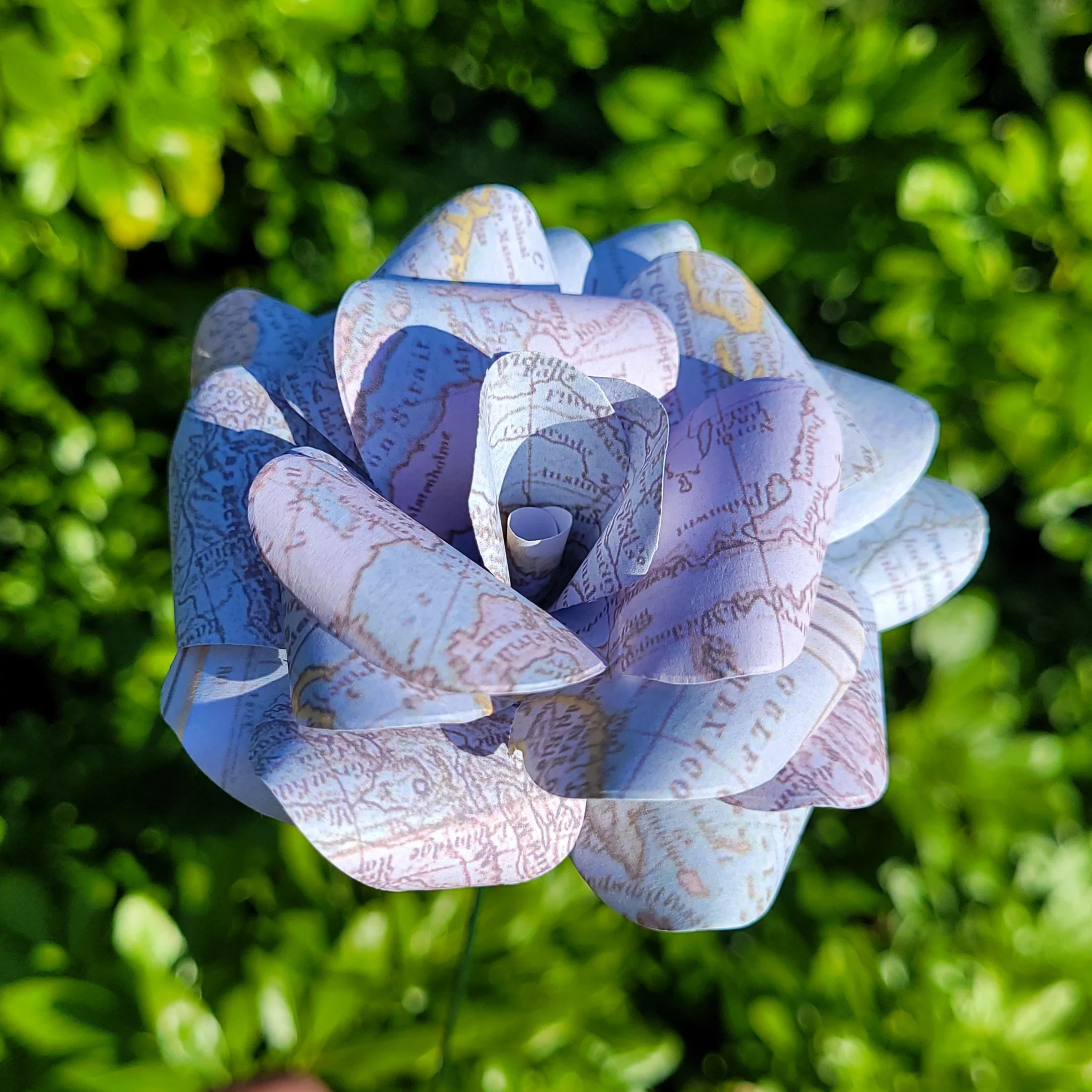 Travel Map Paper Flowers - Image 5