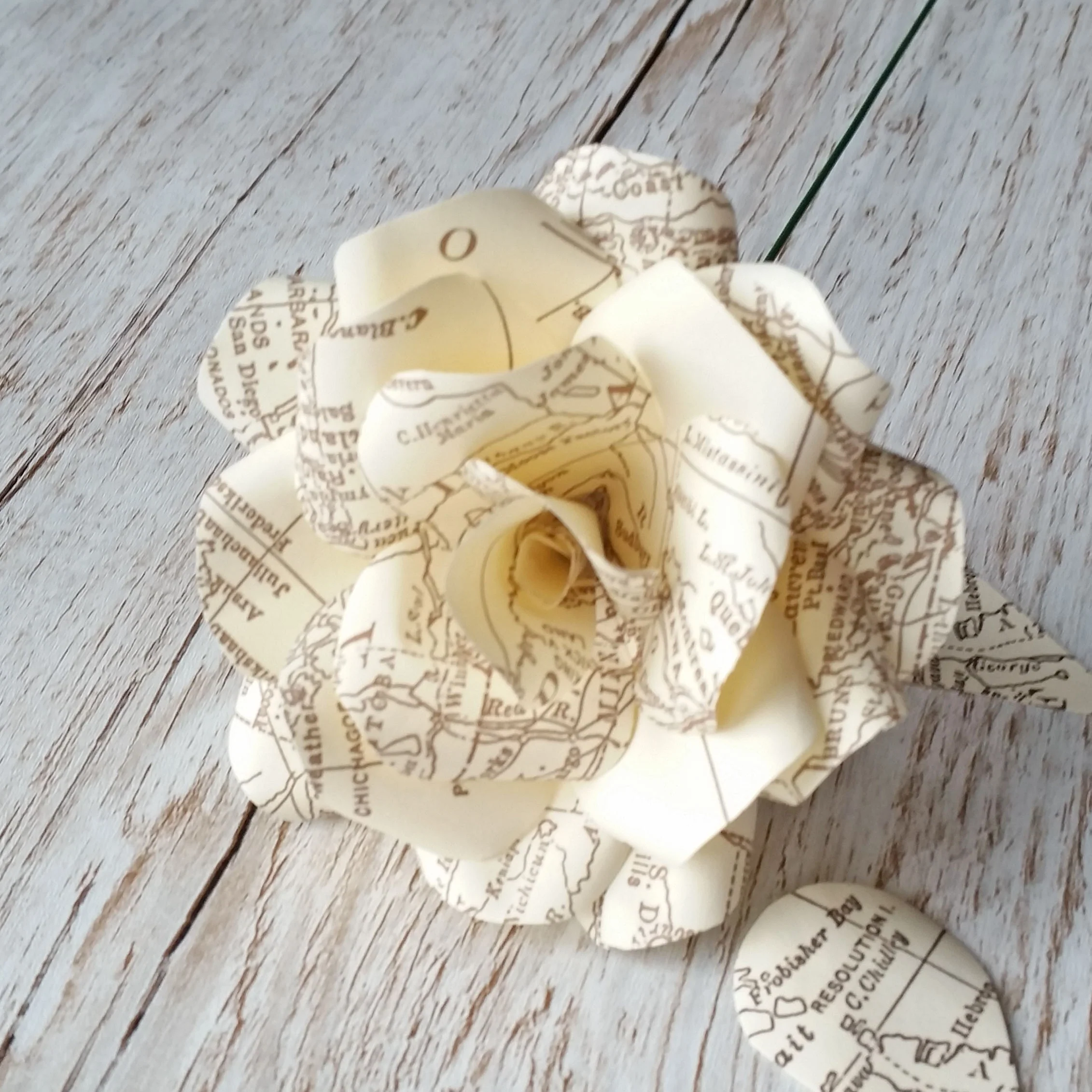Vintage Map Paper Flowers - Image 5
