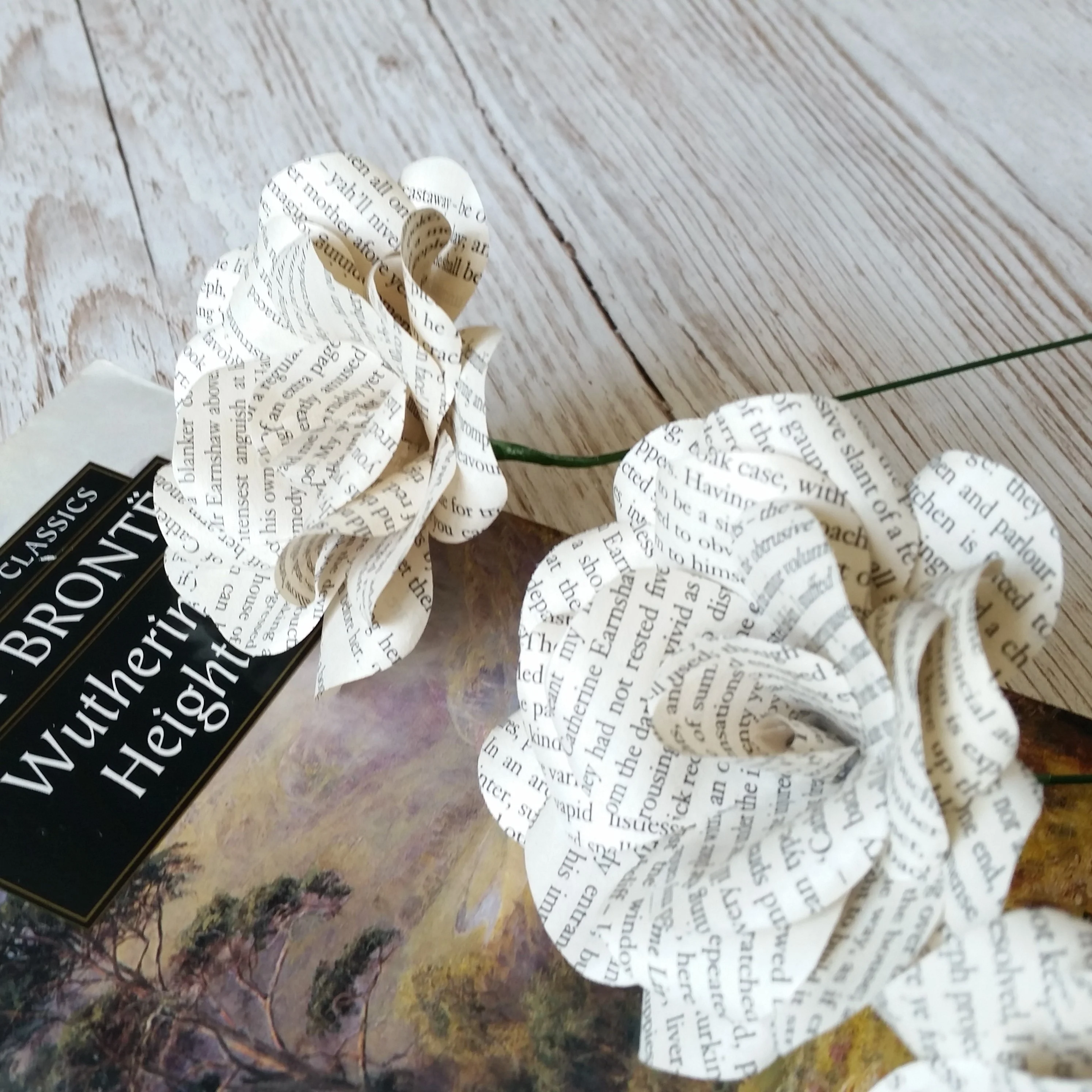 Wuthering Heights Paper Flowers - Image 4