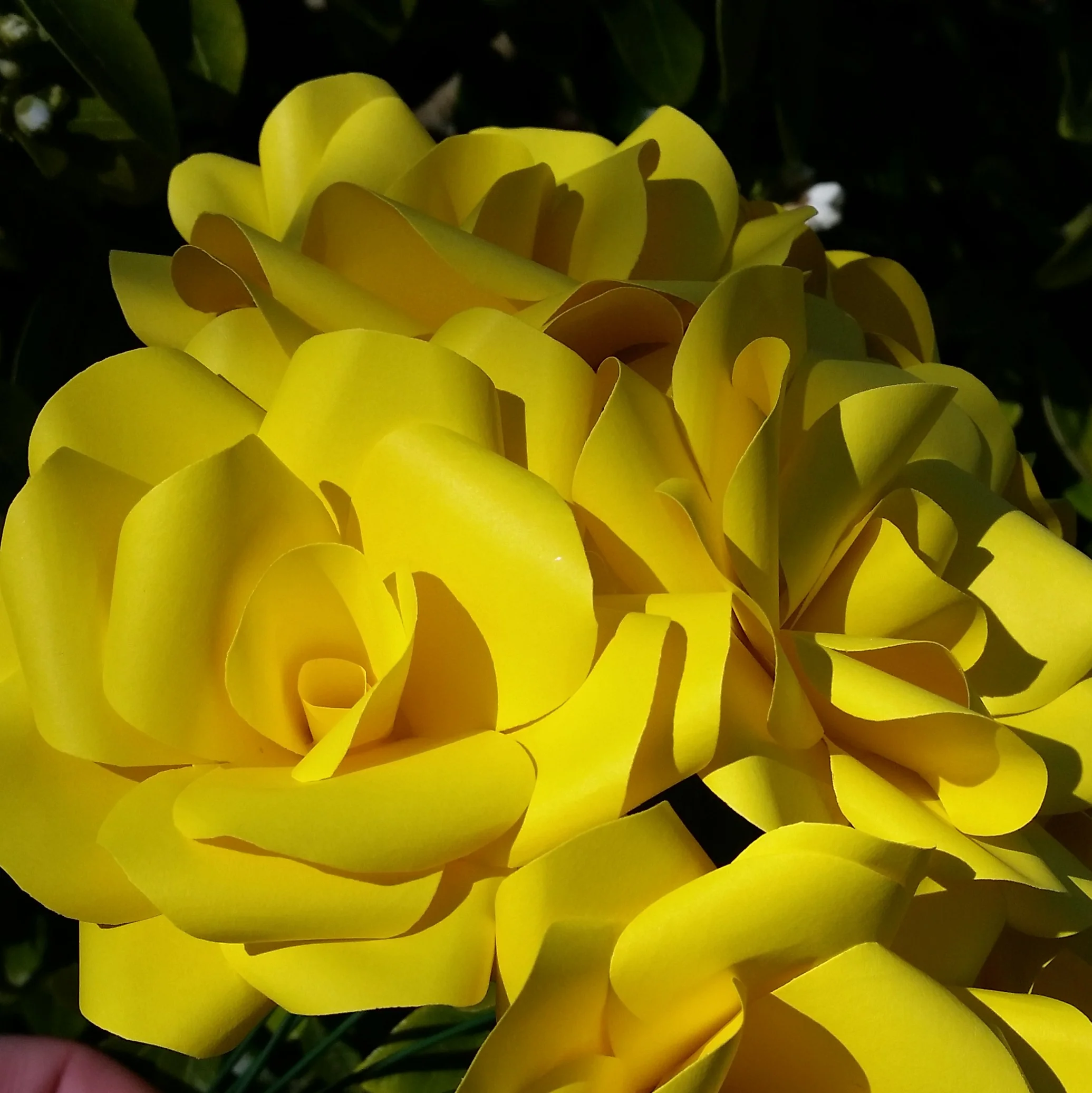 Yellow Paper Roses - Image 3