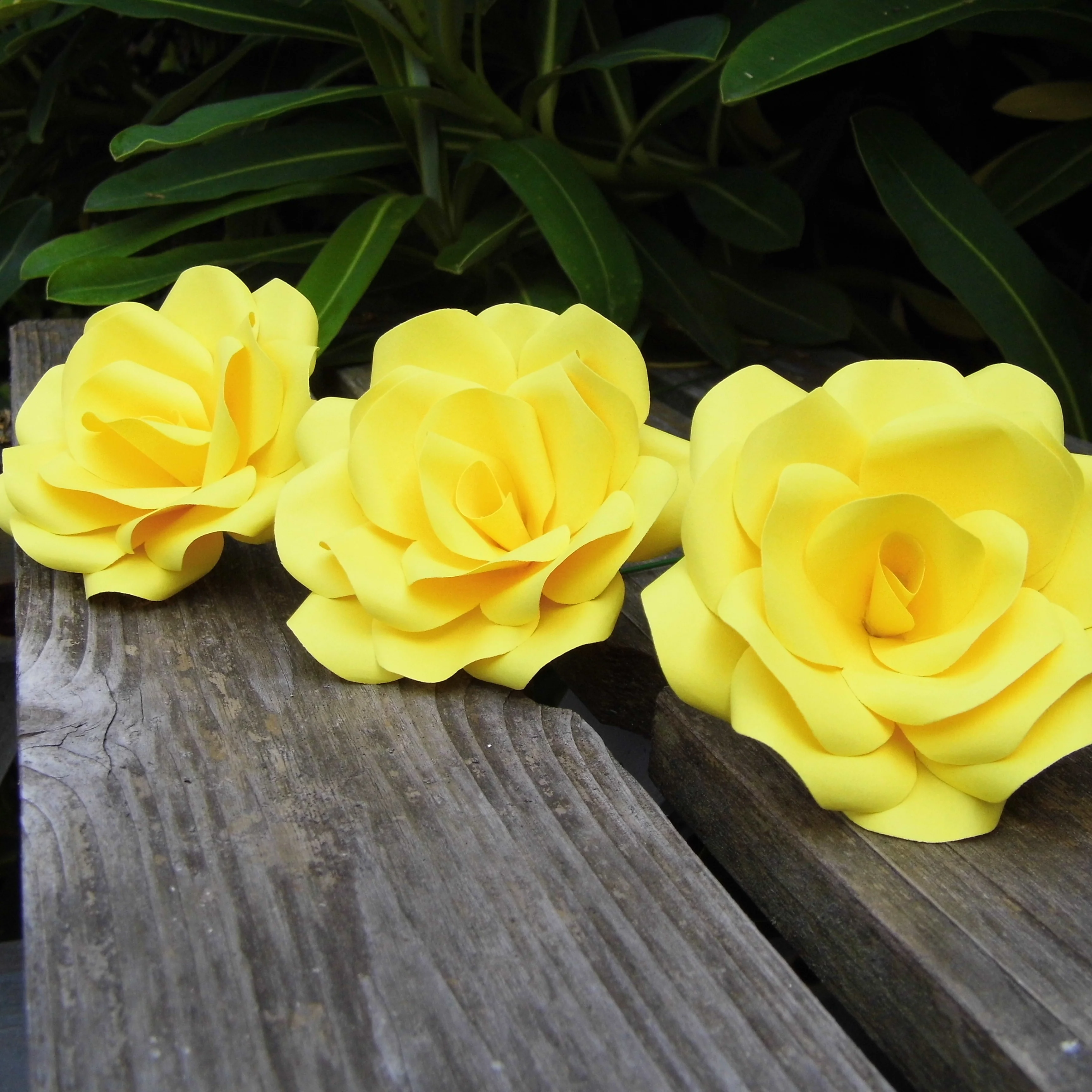 Yellow Paper Roses - Image 4