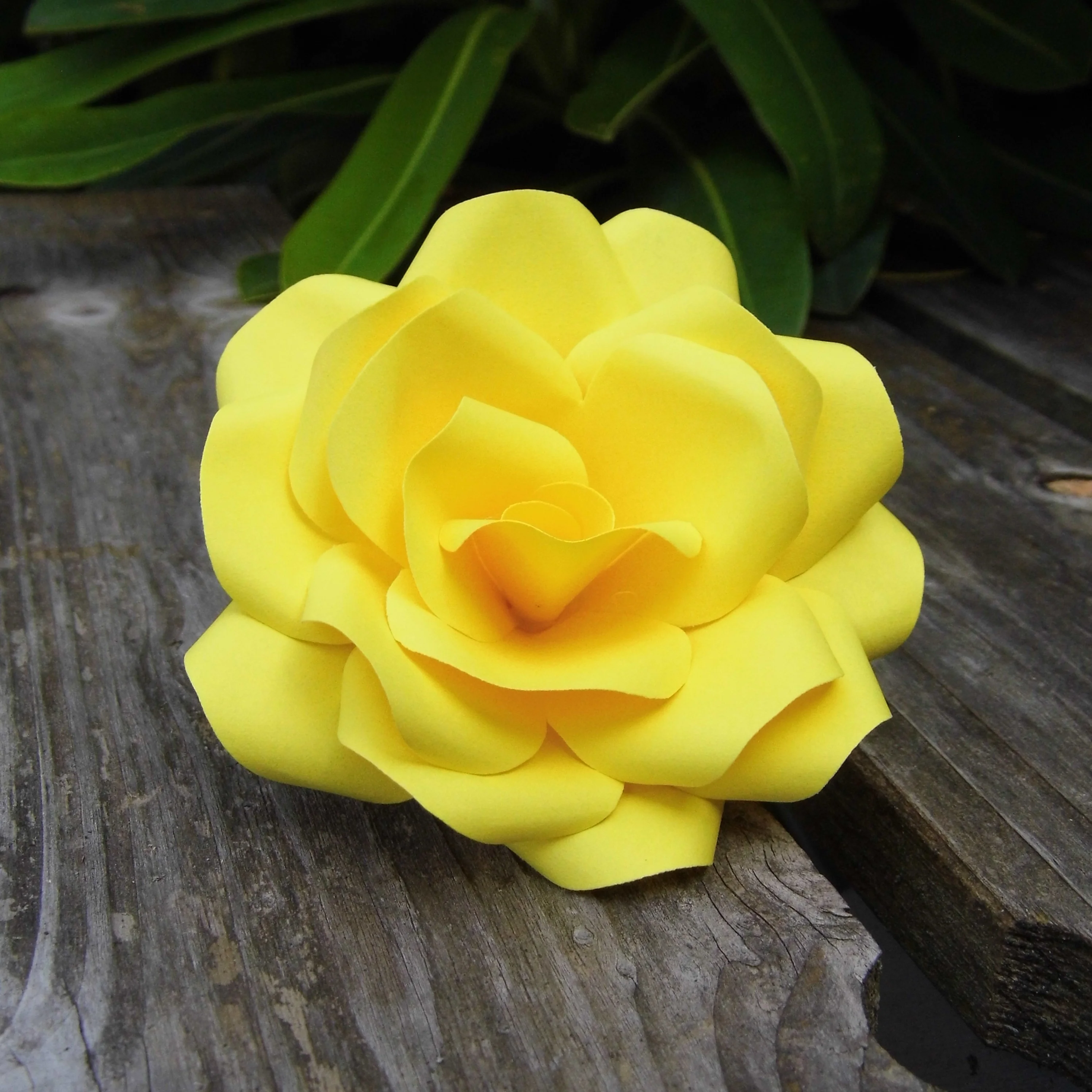 Yellow Paper Roses - Image 5