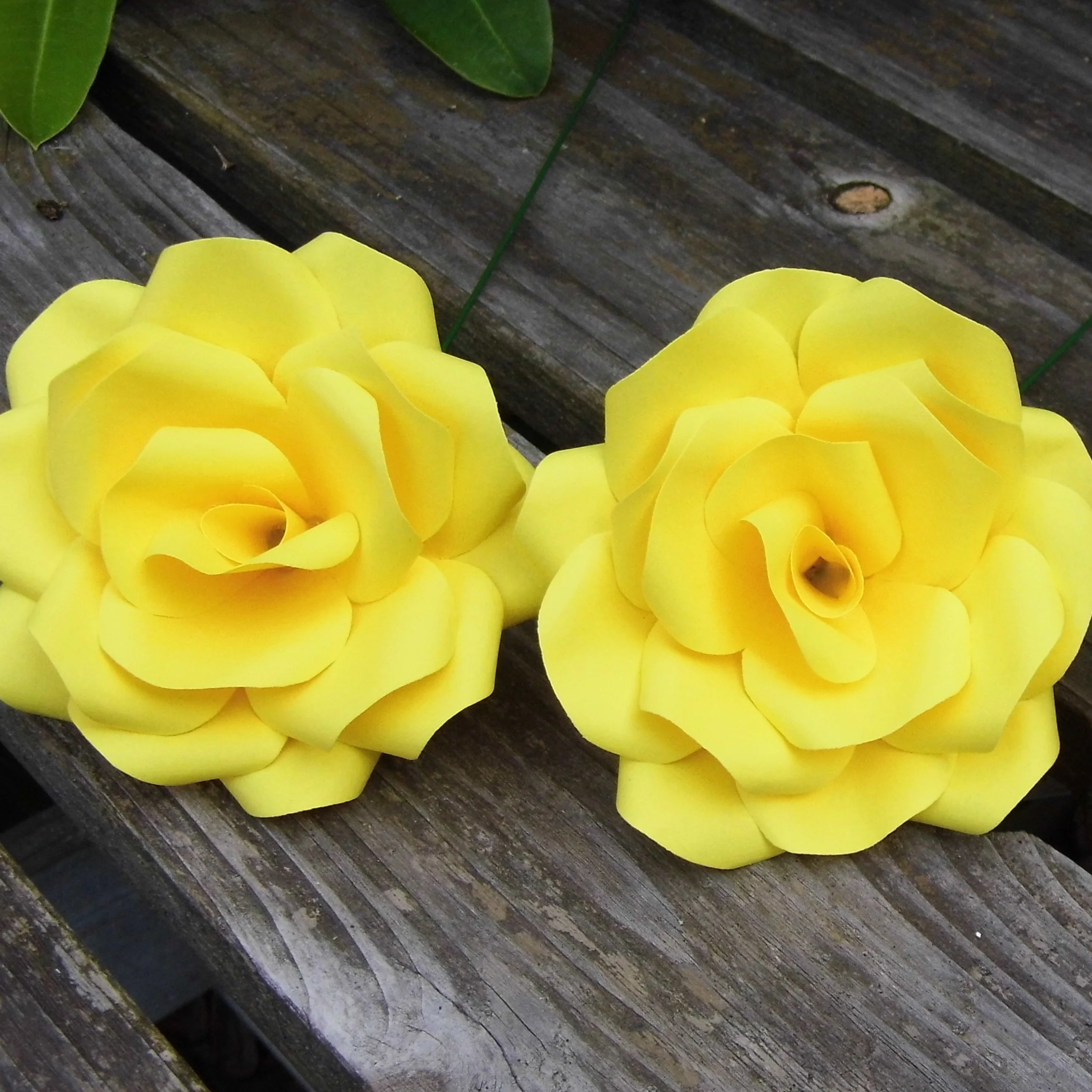 Yellow Paper Roses - Image 6